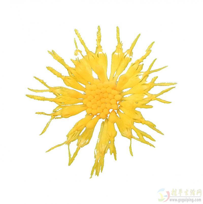 ƻԻҲ